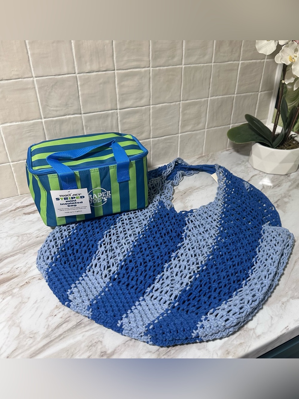 Trader Joe’s Mini Lunch Tote